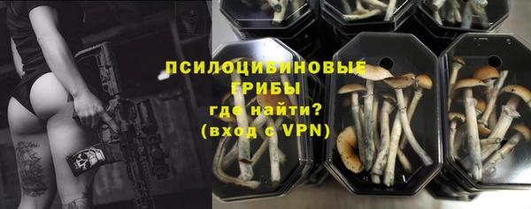 Альфа ПВП Тавда