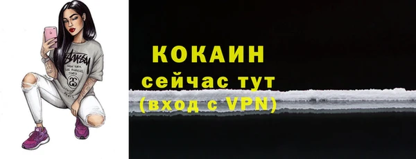 Альфа ПВП Тавда