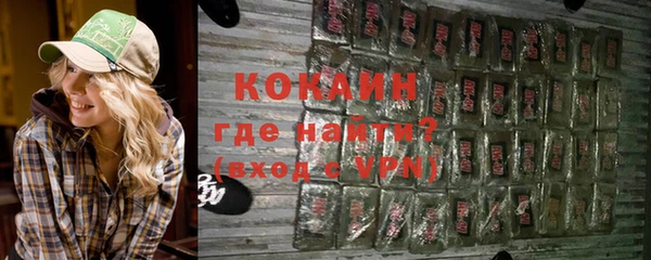 шишки Медногорск