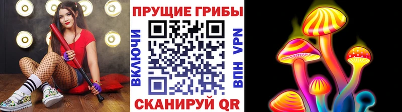 Псилоцибиновые грибы Magic Shrooms  Цимлянск 